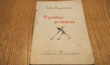 O GRADINA PE LUMINA - Teodor Dragomir - DESPINA GHINOCASTRA, CR. IONESCU (ilustratii) - Editura Tineretului, 1959, 32 p.