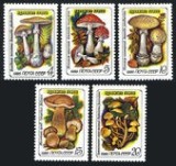 Rusia 1986 - Ciuperci 5v.,neuzat,perfecta stare(z)