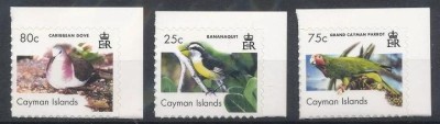 CAYMAN ISLANDS 2006 FAUNA PASARI foto