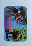 Calendar I.I.R.U.C. 1977