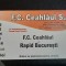 Bilet Ceahlaul P N - Rapid