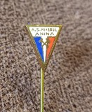 Insigna fotbal - &quot;MINERUL&quot; ANINA