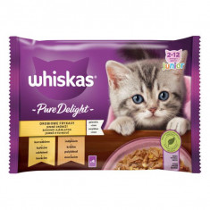 Whiskas Casserole Junior selecție de păsări de curte în jeleu 4 x 85 g