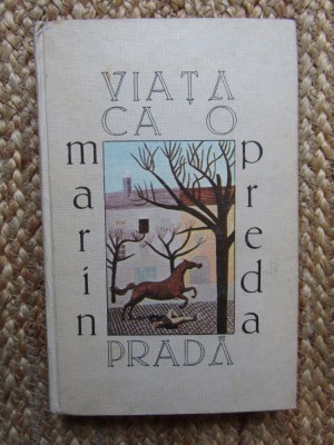 Marin Preda - Viata ca o prada foto