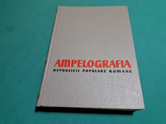 AMPELOGRAFIA REPUBLICII POPULARE ROM&amp;Acirc;NE * VOL. VI * 1960 * foto