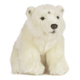 Urs polar de plus 30 cm , Living Nature