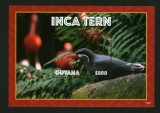 GUYANA 2019 FAUNA PASARI