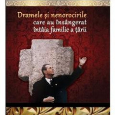 Colectia Regala Vol.18: Dramele si nenorocirile care au insangerat intaia familie a tarii - Dan-Silviu Boerescu