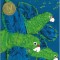 Parrots Over Puerto Rico