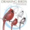 The Laws Guide to Drawing Birds