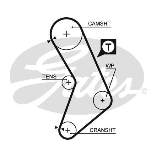 Curea distributie Gates 5545XS