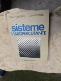 Sisteme Vibropercutante - Gheorghe Silăș, Liviu Br&acirc;ndu