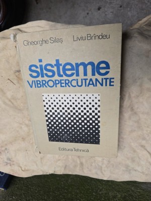 Sisteme Vibropercutante - Gheorghe Silăș, Liviu Br&amp;acirc;ndu foto