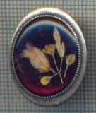 Y 1045 INSIGNA - INTERESANTA -PENTRU COLECTIONARI