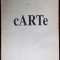 cARTe: OBJECT-BOOKS BY ROMANIAN ARTISTS/CATALOG EXPO&#039;93:Plesu/Oisteanu/Liiceanu+