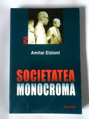 Amitai Etzioni - Societatea monocromă (Polirom, 2002) foto