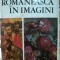 PICTURA ROMANEASCA IN IMAGINI- VASILE DRAGUT, VASILE FLOREA, DAN GRIGORESCU, MARIN MIHALAECHE, BUC.1970