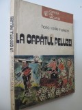 La capatul peluzei - Horia Vasile Muresan