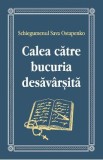 Calea catre bucuria desavarsita - Sava Ostapenko