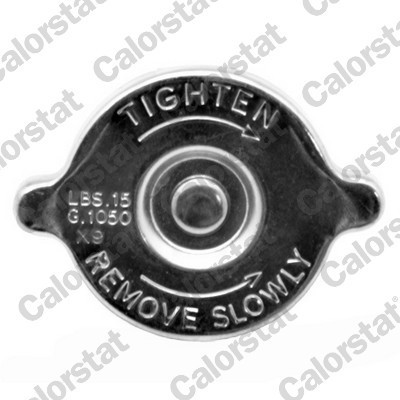 CALORSTAT by Vernet RC0061 buson radiator foto