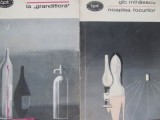 La Grandiflora - Noaptea focurilor (2vol.) - Gib. Mihaescu