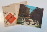 Fotodisc flexidisc vedere / felicitare audio pentru pick-up, 45 RPM, Haulita Gorjeneasca, Imagine Masa Tacerii Brancusi, in plicul original, vintage