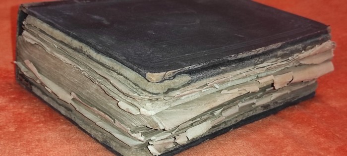 NAPOLEON Cuceritorul lumei roman Din timpul lui napoleon An 1892 volumul 1 editura Ignatz Herz Bucuresci
