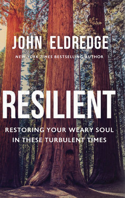 Resilient: Restoring Your Weary Soul in These Turbulent Times foto