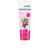 Vademecum My Little Strawberry pasta de dinti pentru copii cu flor căpșună 50 ml