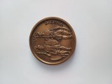 medalie DIERNA ORSOVA 1974 .Bronz ,de colectie .Gravura excelenta