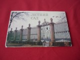 SET, LOT CARTI POSTALE RUSIA 12 BUC.