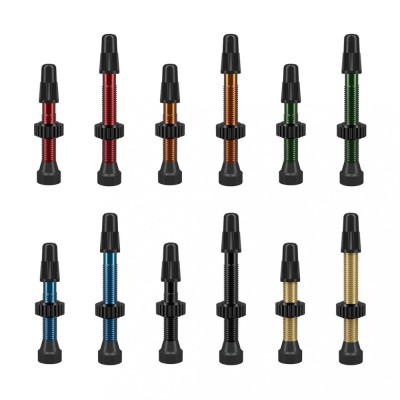 Set Valve WTB TCS Tubeless Presta FV, 46mm - 2 Buc Ultimate FactoryBikes foto