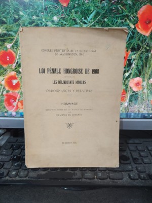 Loi penale hongroise de 1908 concernant les delinquants mineurs, 1910, 110 foto