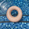 Foto  - 2