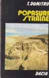 T. Dumitru - Popasuri straine