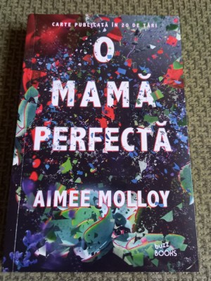 O MAMA PERFECTA AIMEE MOLLOY foto