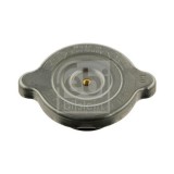 Febi Bilstein buson, vas expansiune