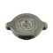 Febi Bilstein buson, vas expansiune