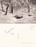 Ilustrata Germania-Felicitare Craciun