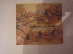 somnoroase pasarele an 1989 ed ion creanga h11 foto