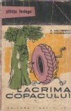 Cumpara ieftin Lacrima Copacului - A. Baltaretu | Editura Tineretului | Stiinta | Brosata | 1960 | Literatura Romana Clasica