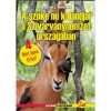 A szőke nő kalandjai Afrik&aacute;ban - Dr. Gyur&aacute;cz Andrea - Carte maghiară, 2020, 270 oldal, ilustrații, aventură