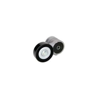 Intinzator curea OPEL CORSA C F08 F68 DAYCO APV2301 foto