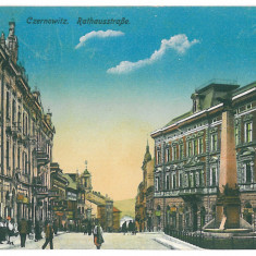 5056 - CERNAUTI, Bucovina, Market - old postcard, CENSOR - used - 1918