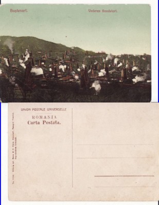 Bustenari -Sonde - Prahova foto