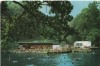CPI B 11068 CARTE POSTALA - SOVATA. LACUL &quot;ALUNIS&quot;, Circulata, Fotografie