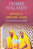 Spatiul dintre nori - 2016 - Desiree Halaseh (J65)