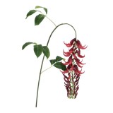 Set 6 flori artificiale verzi rosii Kaylin 142 h