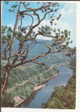 Carte Postala veche - Valea Oltului , 1986 necirculata