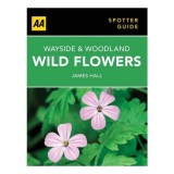 Wayside and Woodland Wild Flowers